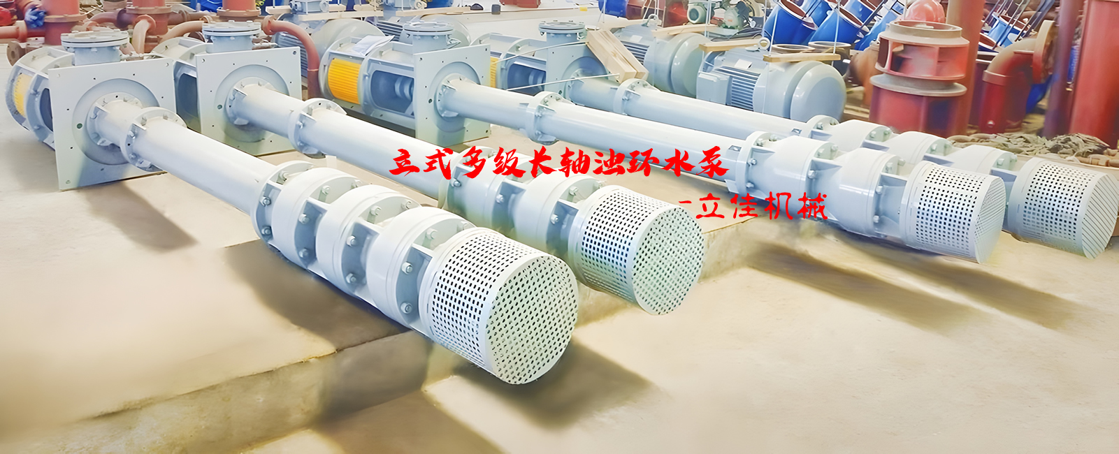 立式长轴浊环水泵